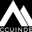 accuindex