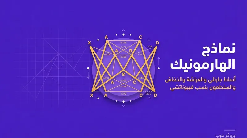 شرح نماذج الهارمونيك: ما هي وكيفية إستخدامها في التحليل الفني