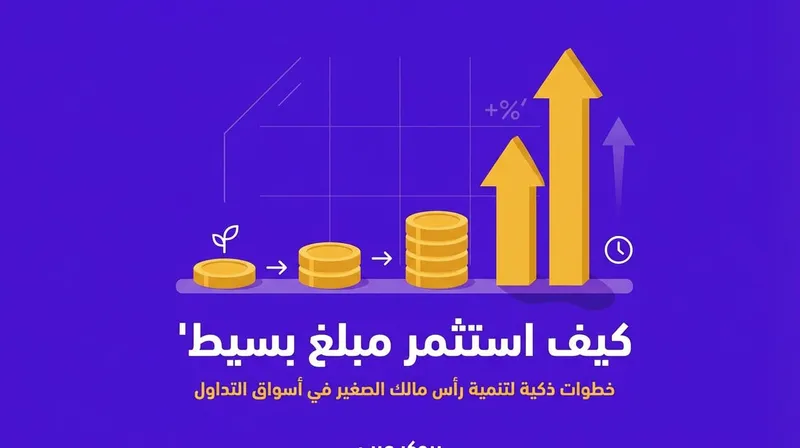 كيف استثمر مبلغ بسيط: فهم دقيق للسوق عوائد مميزة!