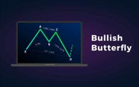 نموذج الفراشة