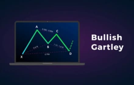 نموذج جارتلي