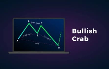 نموذج السلطعون