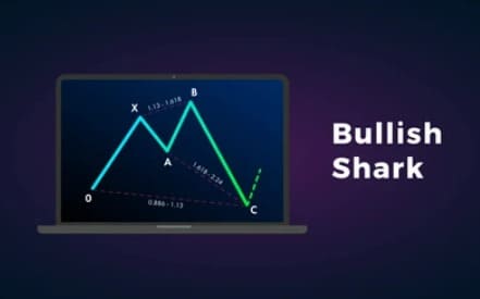 نموذج القرش